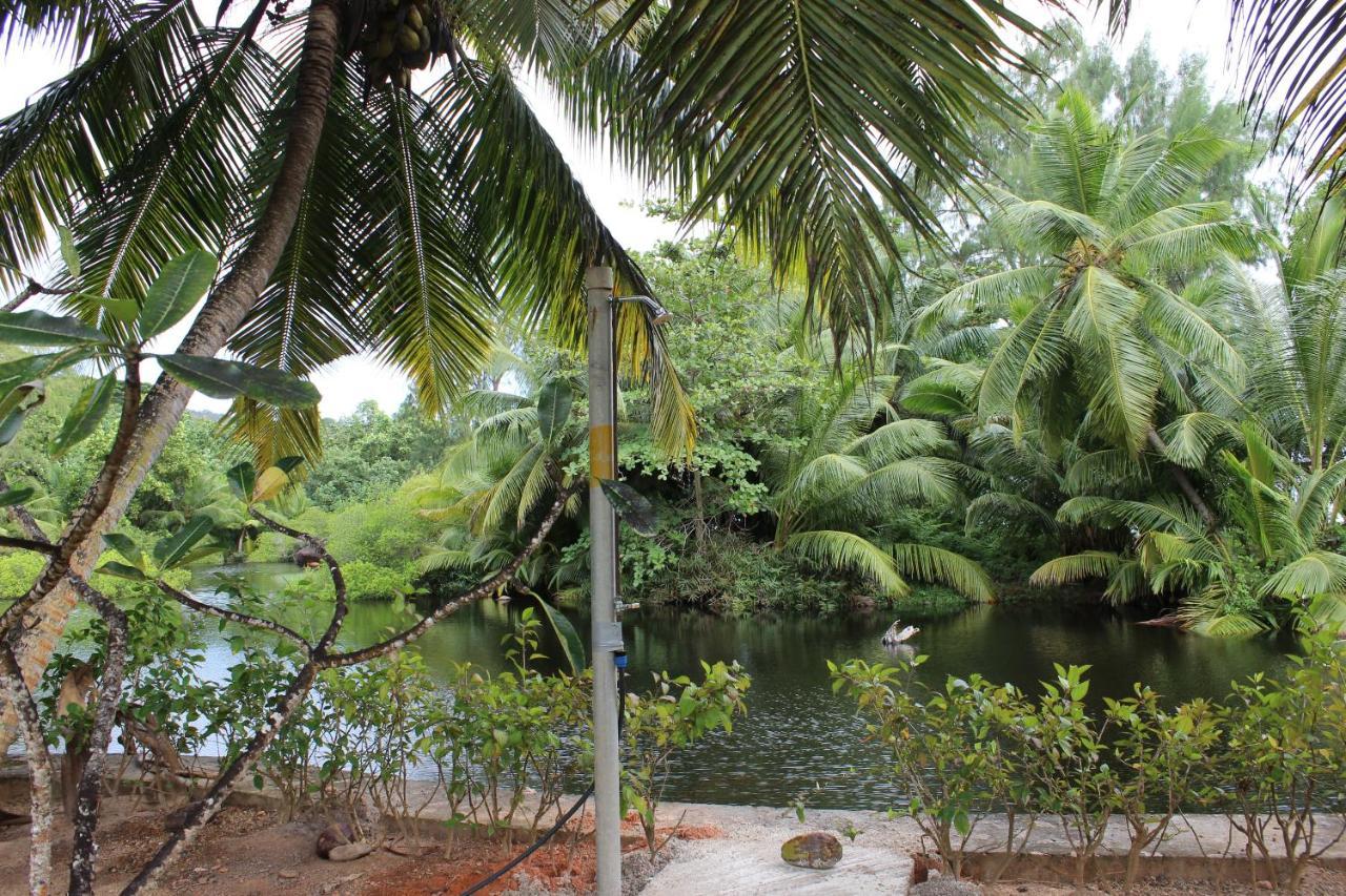 Le Chevalier Bay Guesthouse Anse Lazio Exterior foto